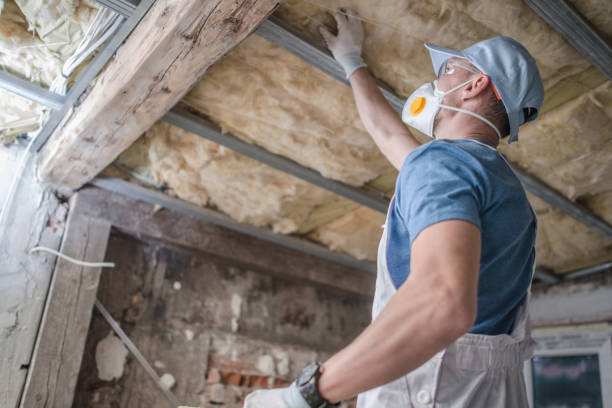 Best Spray Foam Insulation  in Shaw Heights, CO